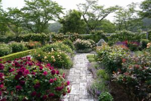 滋賀県にあるローザンベリー多和田では、BBQを楽しんだり、庭園で季節の花を楽しめます。ひつじのショーンのオブジェもかわいいパークです。